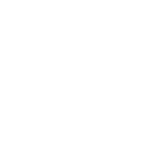 Solo Cup