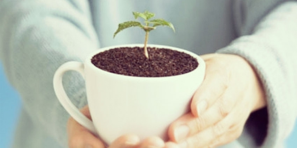 Que peut-on faire d'autre avec le café ?