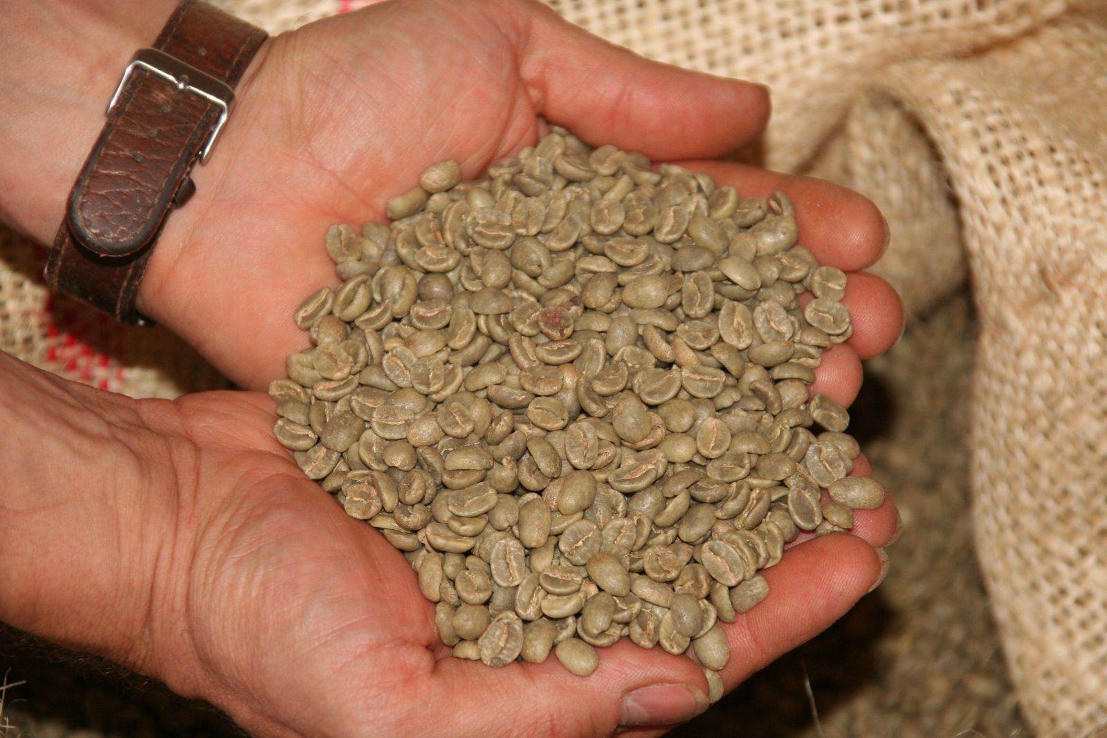 Photo de grain de café